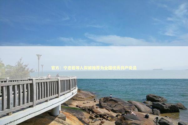 官方:宁忠岩等人拟被推荐为全国优秀共产党员 官方:宁忠岩等人拟被推荐为全国优秀共产党员 新闻