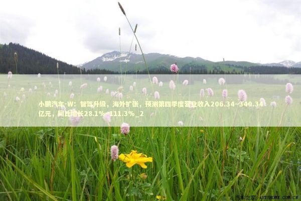 小鹏汽车-W:智驾升级,海外扩张,预测第四季度营业收入206.34~340.34亿元,同比增长28.1%~111.3%_2 小鹏汽车-W:智驾升级,海外扩张,预测第四季度营业收入206.34~340.34亿元,同比增长28.1%~111.3%_2 新闻