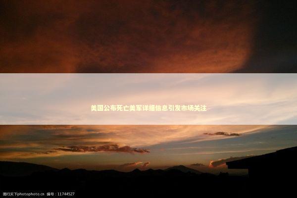 美国公布死亡美军详细信息引发市场关注 美国公布死亡美军详细信息引发市场关注 新闻