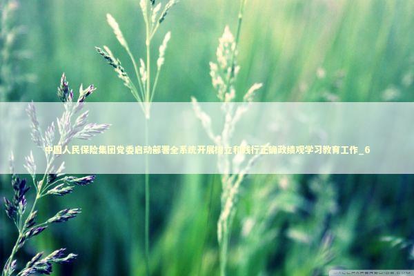 中国人民保险集团党委启动部署全系统开展树立和践行正确政绩观学习教育工作_6 中国人民保险集团党委启动部署全系统开展树立和践行正确政绩观学习教育工作_6 新闻