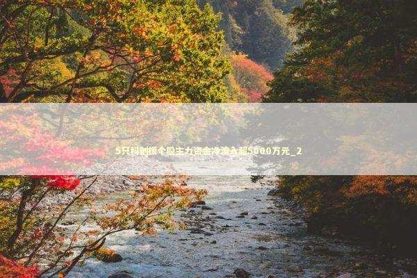 5只科创板个股主力资金净流入超5000万元_2