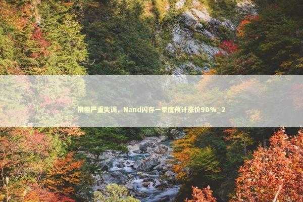 供需严重失调，Nand闪存一季度预计涨价90%_2 新闻