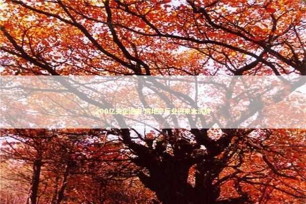 200亿央企退市 房地产行业迎来大洗牌 新闻