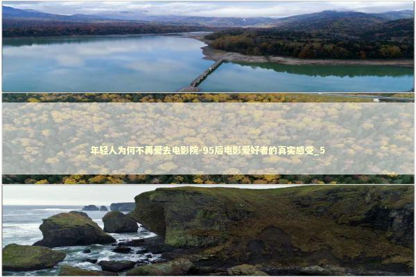 年轻人为何不再爱去电影院-95后电影爱好者的真实感受_5 新闻