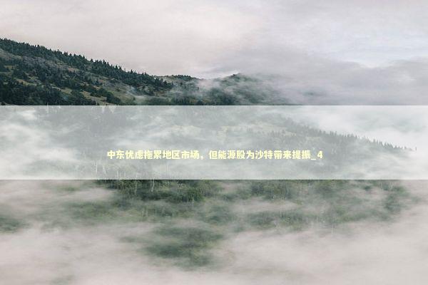 中东忧虑拖累地区市场,但能源股为沙特带来提振_4 中东忧虑拖累地区市场,但能源股为沙特带来提振_4 新闻