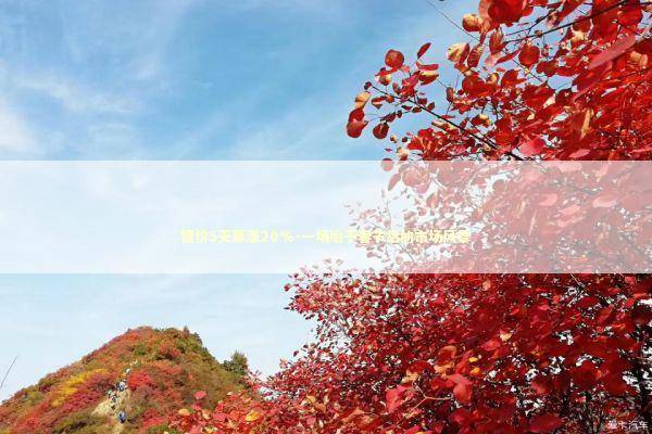 锂价5天暴涨20%-一场始于春节后的市场风暴 锂价5天暴涨20%-一场始于春节后的市场风暴 新闻