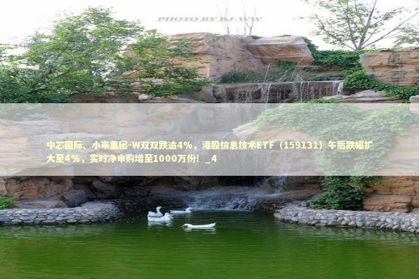 中芯国际、小米集团-W双双跌逾4%,港股信息技术ETF(159131)午后跌幅扩大至4%,实时净申购增至1000万份!_4 中芯国际、小米集团-W双双跌逾4%,港股信息技术ETF(159131)午后跌幅扩大至4%,实时净申购增至1000万份!_4 新闻