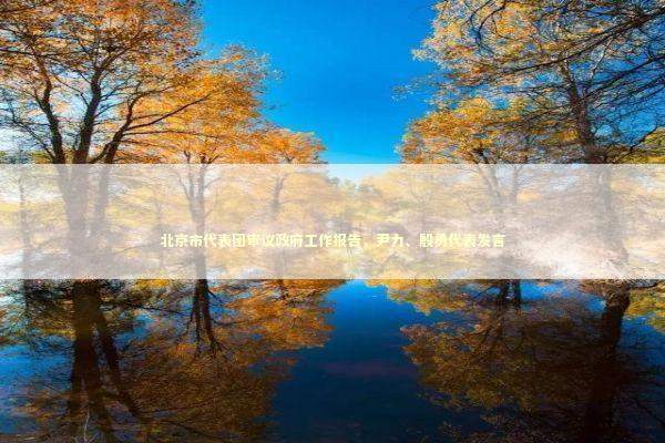 北京市代表团审议政府工作报告,尹力、殷勇代表发言 北京市代表团审议政府工作报告,尹力、殷勇代表发言 新闻