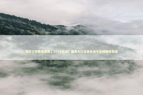政府工作报告深读|3000亿元!国有大行资本补充今年将继续落地 政府工作报告深读|3000亿元!国有大行资本补充今年将继续落地 新闻