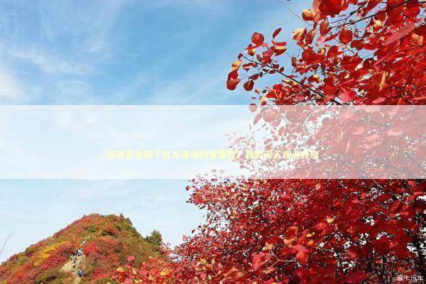 你是否忽略了官方渠道的重要性?我的深入观点分享 你是否忽略了官方渠道的重要性?我的深入观点分享 新闻