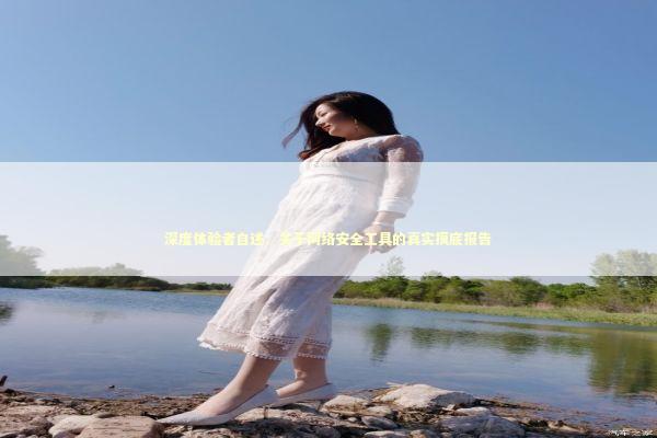 深度体验者自述:关于网络安全工具的真实摸底报告 深度体验者自述:关于网络安全工具的真实摸底报告 IT技术