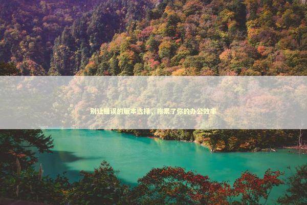 别让错误的版本选择,拖累了你的办公效率 别让错误的版本选择,拖累了你的办公效率 IT技术